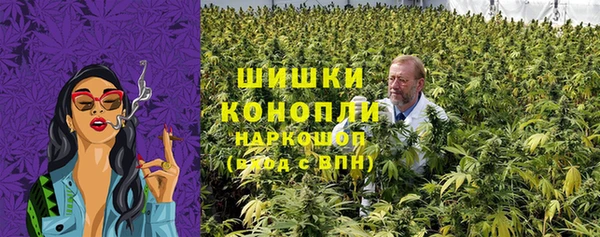 мет Пестово