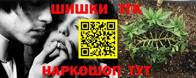 mdpv Дубна