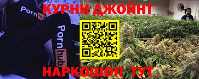 молекула духа Берёзовский