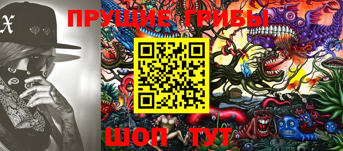 Псилоцибиновые грибы GOLDEN TEACHER Кизляр