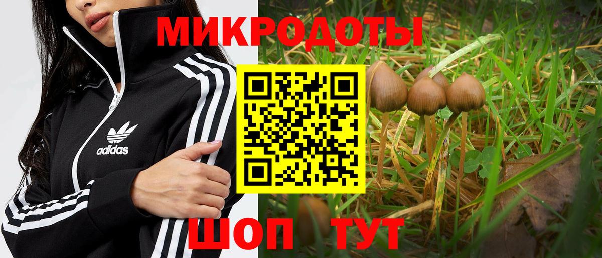 Кизляр  наркотики  Галлюциногенные грибы Magic Shrooms  Вход с VPN  Псилоцибиновые грибы мицелий 