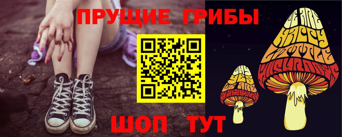 Псилоцибиновые грибы прущие грибы  Кизляр  Псилоцибиновые грибы прущие грибы 